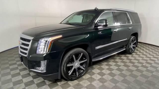 2016 Cadillac Escalade Vehicle Photo in ALLIANCE, OH 44601-4622