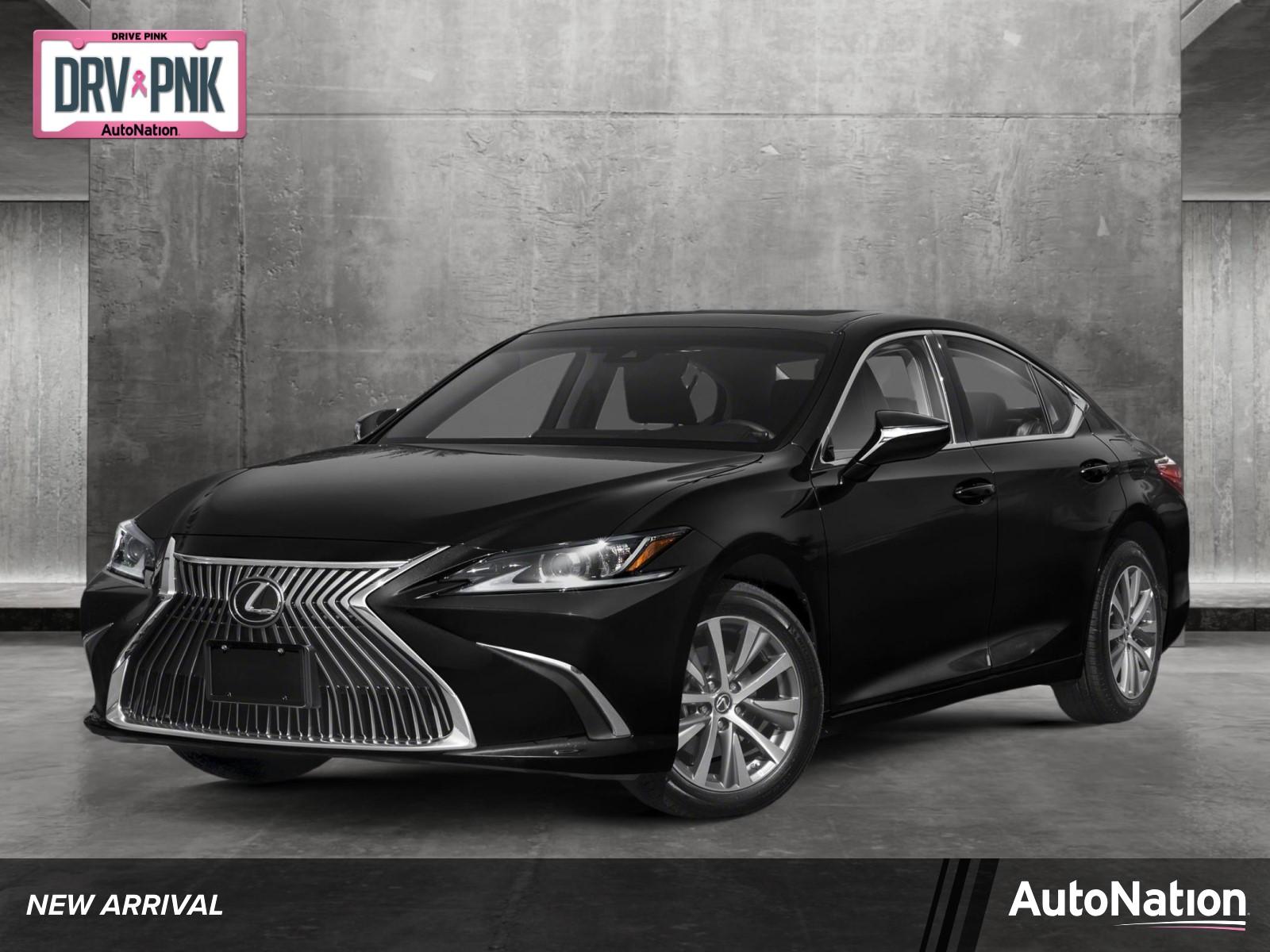 2019 Lexus ES 350 Vehicle Photo in Wesley Chapel, FL 33544