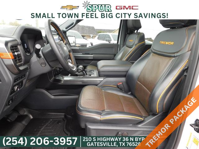 2023 Ford F-150 Vehicle Photo in GATESVILLE, TX 76528-2745