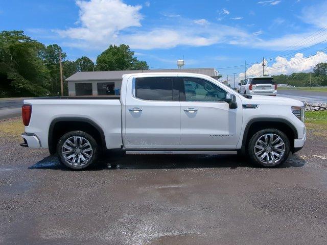 2024 GMC Sierra 1500 Vehicle Photo in ALBERTVILLE, AL 35950-0246