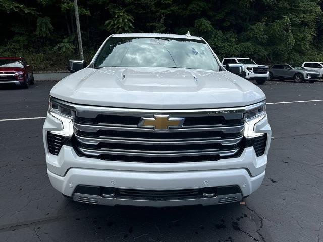 2024 Chevrolet Silverado 1500 Vehicle Photo in MARION, NC 28752-6372