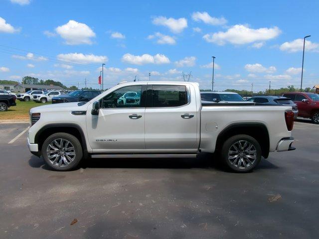 2025 GMC Sierra 1500 Vehicle Photo in ALBERTVILLE, AL 35950-0246