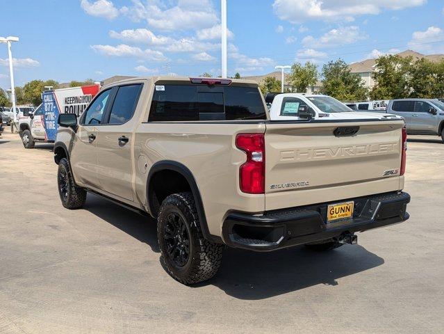 2023 Chevrolet Silverado 1500 Vehicle Photo in SELMA, TX 78154-1459