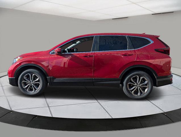 2022 Honda CR-V Vehicle Photo in Greeley, CO 80634-8763