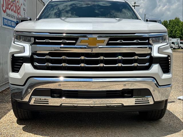 2024 Chevrolet Silverado 1500 Vehicle Photo in DUNN, NC 28334-8900