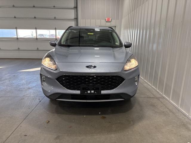 2022 Ford Escape Vehicle Photo in GLENWOOD, MN 56334-1123