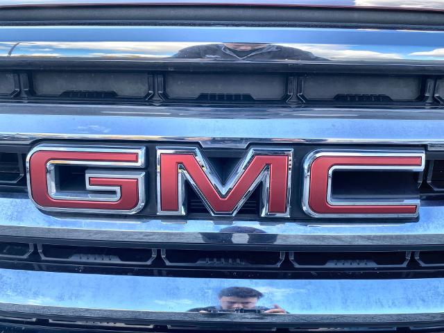 2019 GMC Sierra 1500 Vehicle Photo in WILLIAMSVILLE, NY 14221-2883