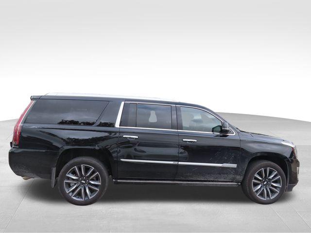 2020 Cadillac Escalade ESV Vehicle Photo in DELRAY BEACH, FL 33483-3294