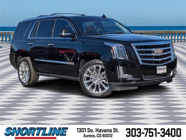 2019 Cadillac Escalade Vehicle Photo in AURORA, CO 80012-4011