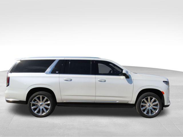 2024 Cadillac Escalade ESV Vehicle Photo in DELRAY BEACH, FL 33483-3294