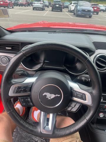 2020 Ford Mustang Vehicle Photo in Jackson, OH 45640-9766