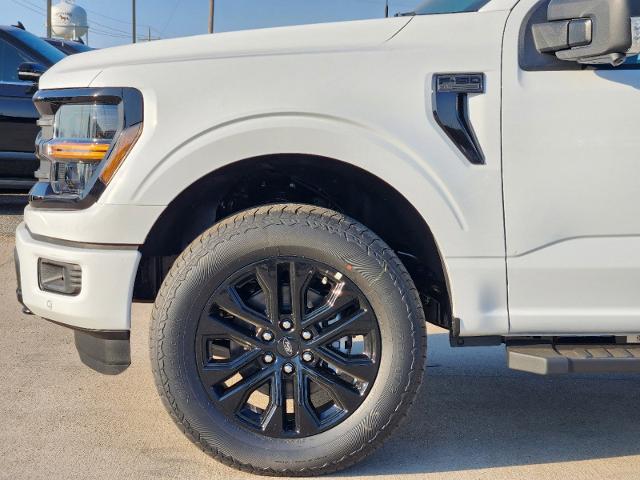 2024 Ford F-150 Vehicle Photo in Pilot Point, TX 76258