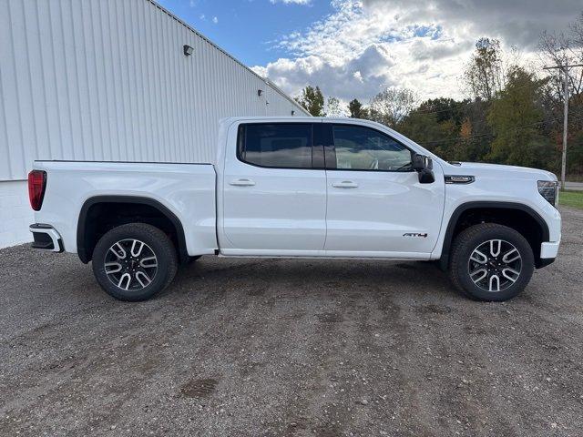 2025 GMC Sierra 1500 Vehicle Photo in JACKSON, MI 49202-1834