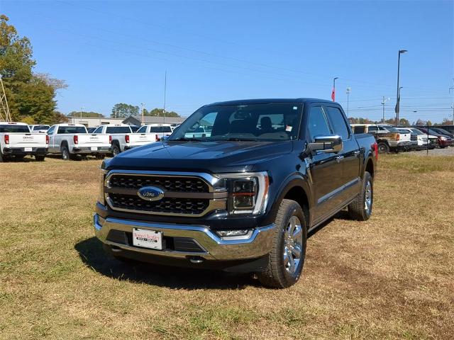 2021 Ford F-150 Vehicle Photo in ALBERTVILLE, AL 35950-0246