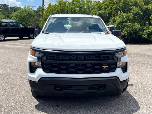 2024 Chevrolet Silverado 1500 Vehicle Photo in BEAUFORT, SC 29906-4218