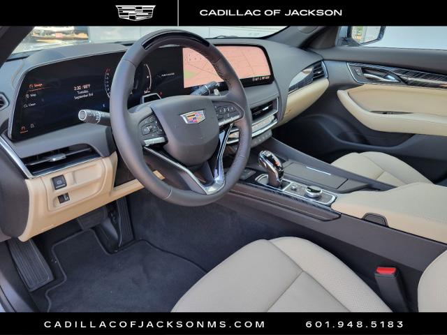 2025 Cadillac CT5 Vehicle Photo in RIDGELAND, MS 39157-4406