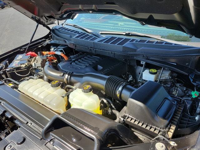 2021 Ford F-150 Vehicle Photo in West Chester, PA 19382