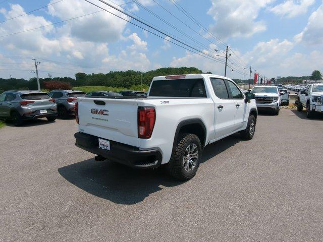 2024 GMC Sierra 1500 Vehicle Photo in ALBERTVILLE, AL 35950-0246