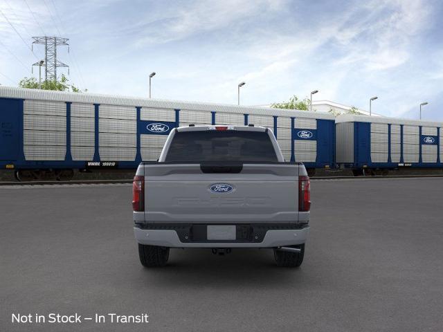 2024 Ford F-150 Vehicle Photo in STEPHENVILLE, TX 76401-3713