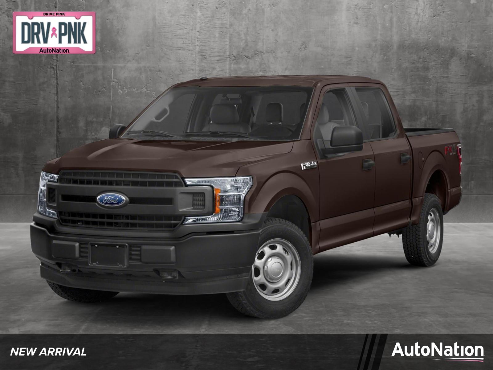 2019 Ford F-150 Vehicle Photo in Jacksonville, FL 32256