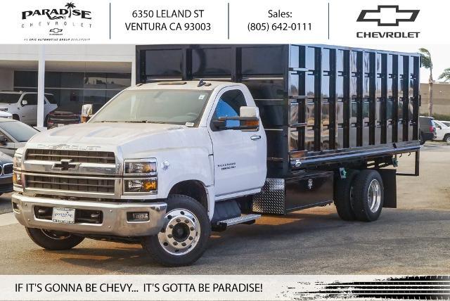 2023 Chevrolet Silverado Chassis Cab Vehicle Photo in VENTURA, CA 93003-8585