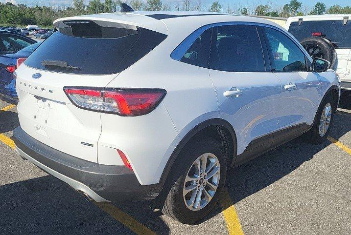 2021 Ford Escape Vehicle Photo in Marion, IA 52302