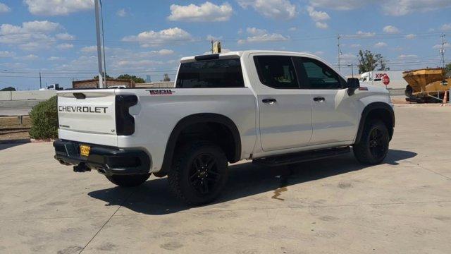 2019 Chevrolet Silverado 1500 Vehicle Photo in SELMA, TX 78154-1460