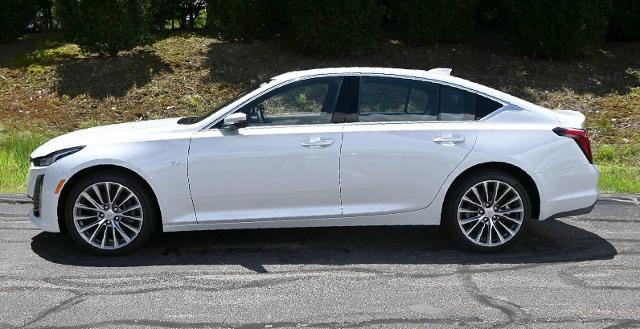 2024 Cadillac CT5 Vehicle Photo in NORWOOD, MA 02062-5222