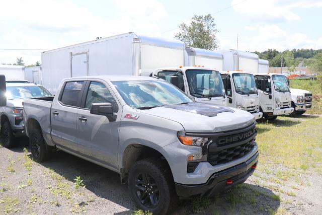 2024 Chevrolet Silverado 1500 Vehicle Photo in MONTICELLO, NY 12701-3853