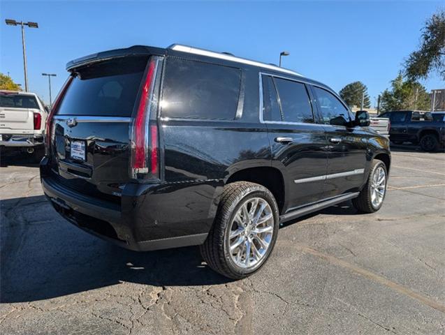 2019 Cadillac Escalade Vehicle Photo in AURORA, CO 80012-4011