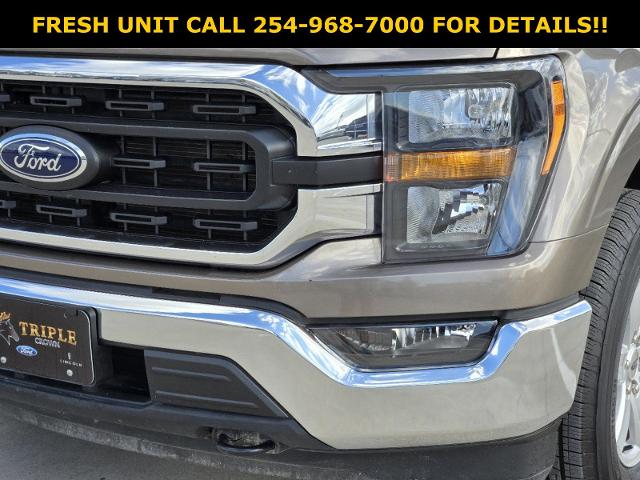 2023 Ford F-150 Vehicle Photo in STEPHENVILLE, TX 76401-3713