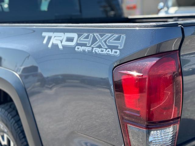 2019 Toyota Tacoma 4WD Vehicle Photo in San Antonio, TX 78230