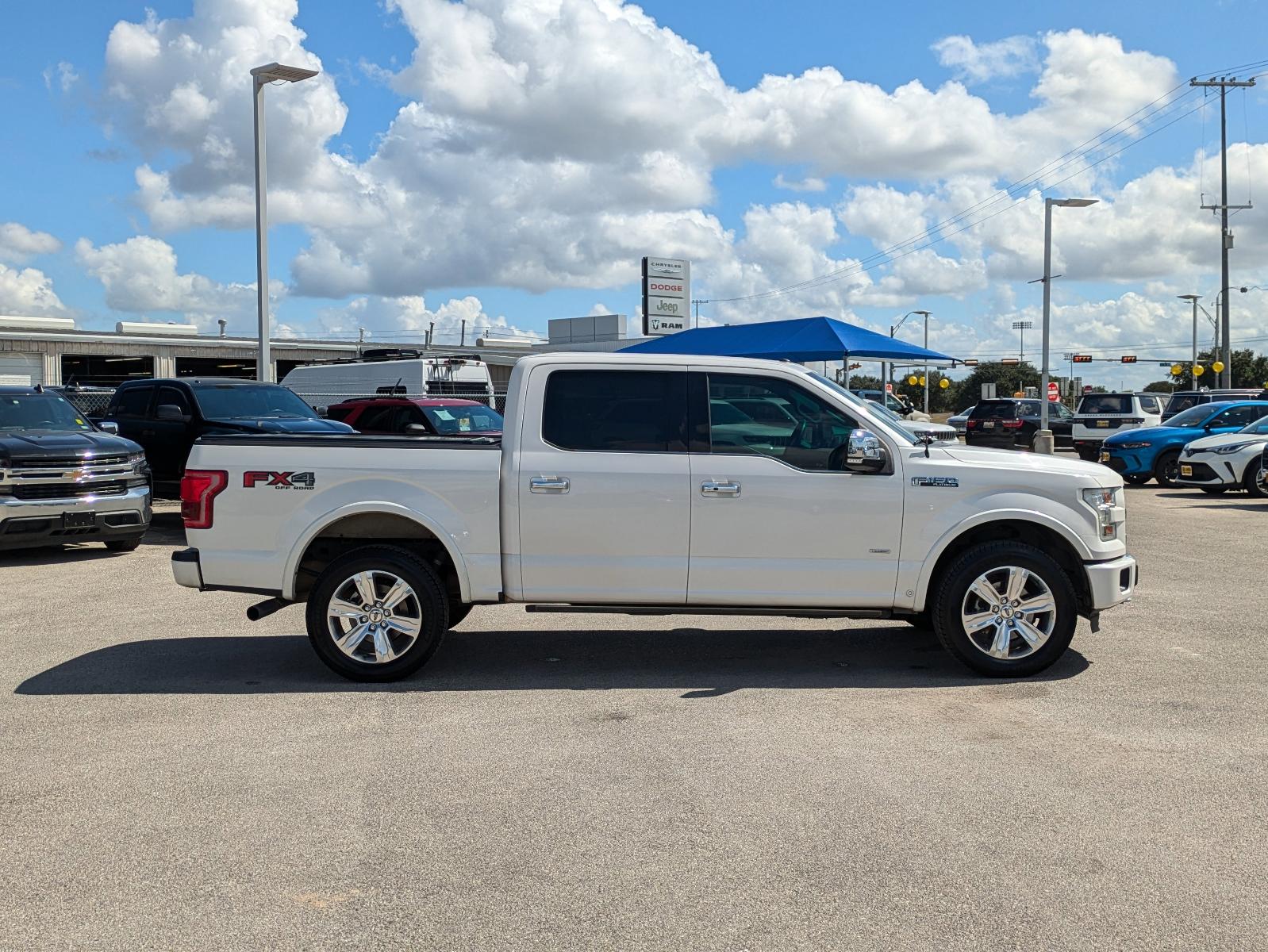 2015 Ford F-150 Vehicle Photo in Seguin, TX 78155