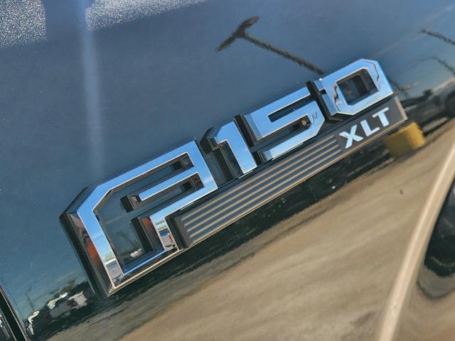 2017 Ford F-150 Vehicle Photo in Pilot Point, TX 76258-6053