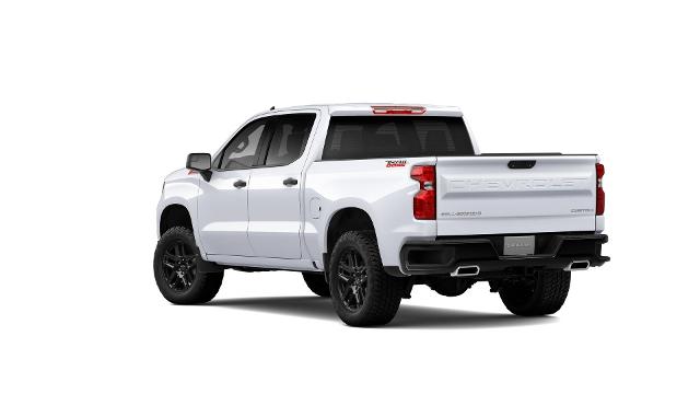 2024 Chevrolet Silverado 1500 Vehicle Photo in Weatherford, TX 76087