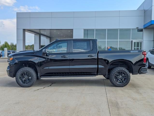 2024 Chevrolet Silverado 1500 Vehicle Photo in POMEROY, OH 45769-1023