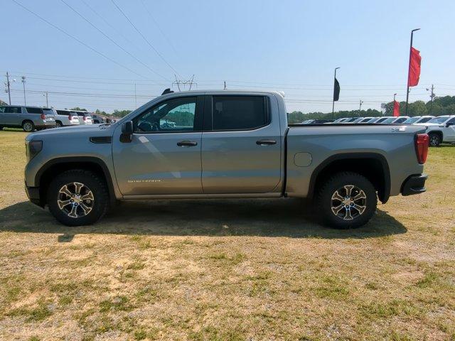 2024 GMC Sierra 1500 Vehicle Photo in ALBERTVILLE, AL 35950-0246