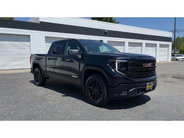 2024 GMC Sierra 1500 Vehicle Photo in TURLOCK, CA 95380-4918