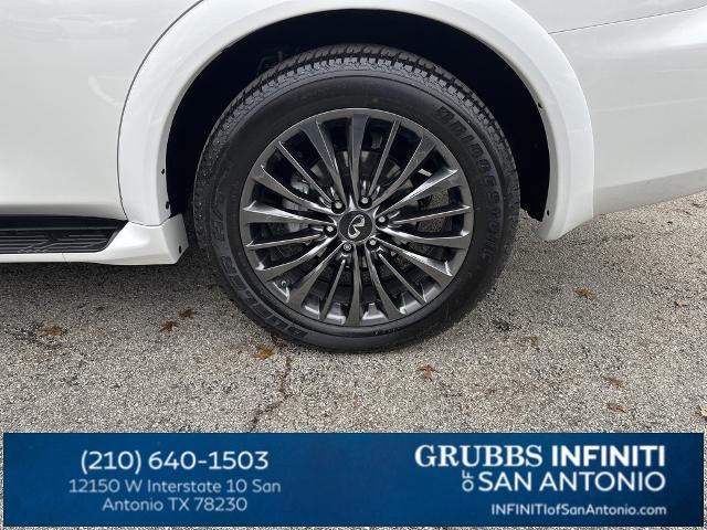 2024 INFINITI QX80 Vehicle Photo in San Antonio, TX 78230