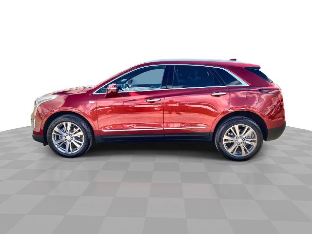 2024 Cadillac XT5 Vehicle Photo in WILLIAMSVILLE, NY 14221-2883