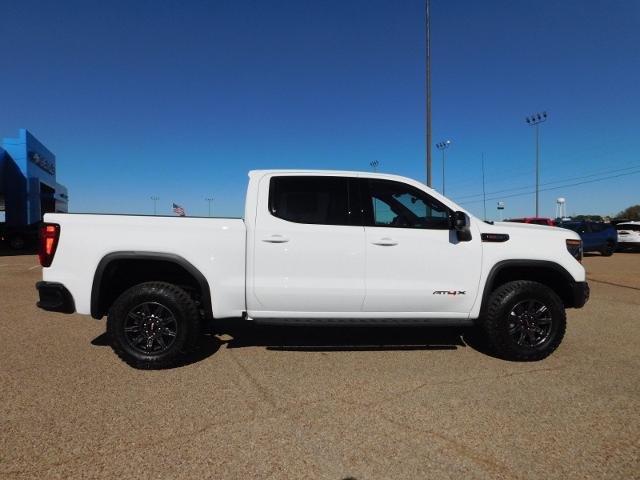 2025 GMC Sierra 1500 Vehicle Photo in GATESVILLE, TX 76528-2745