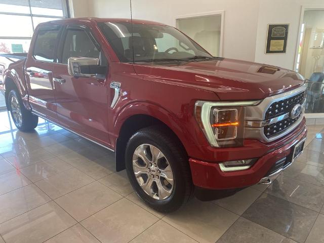 Used 2022 Ford F-150 Platinum with VIN 1FTFW1E8XNFA95992 for sale in Sparta, IL