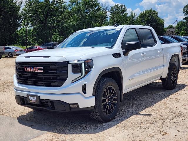 2024 GMC Sierra 1500 Vehicle Photo in PARIS, TX 75460-2116