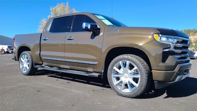 2023 Chevrolet Silverado 1500 Vehicle Photo in FLAGSTAFF, AZ 86001-6214