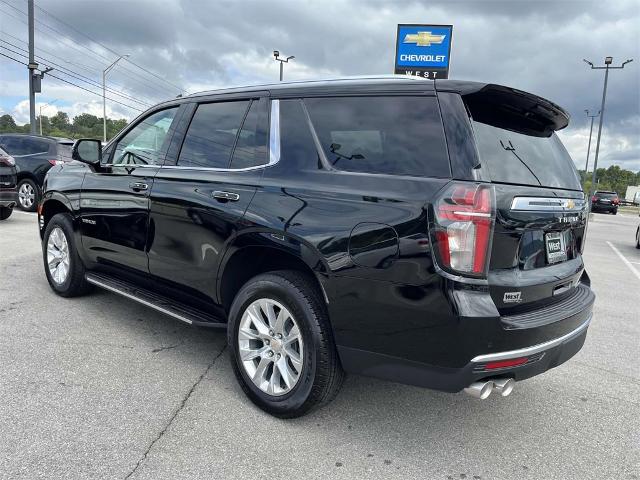 2024 Chevrolet Tahoe Vehicle Photo in ALCOA, TN 37701-3235