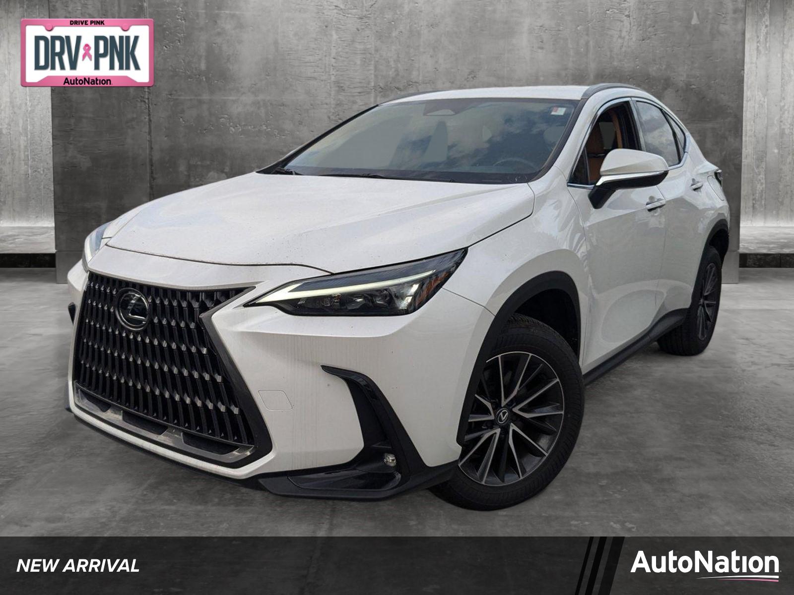 2024 Lexus NX 250 Vehicle Photo in Miami, FL 33169