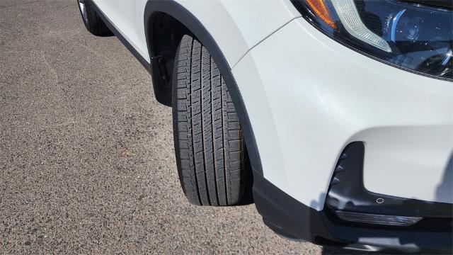 2023 Honda Passport Vehicle Photo in FLAGSTAFF, AZ 86001-6214