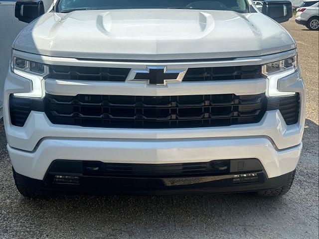 2023 Chevrolet Silverado 1500 Vehicle Photo in DUNN, NC 28334-8900