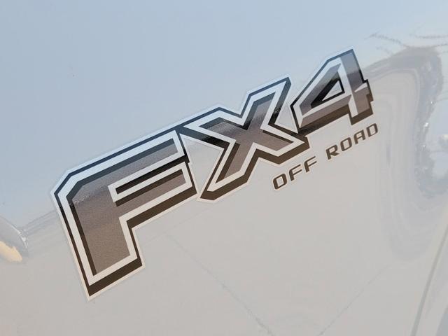 2024 Ford F-150 Vehicle Photo in Pilot Point, TX 76258-6053