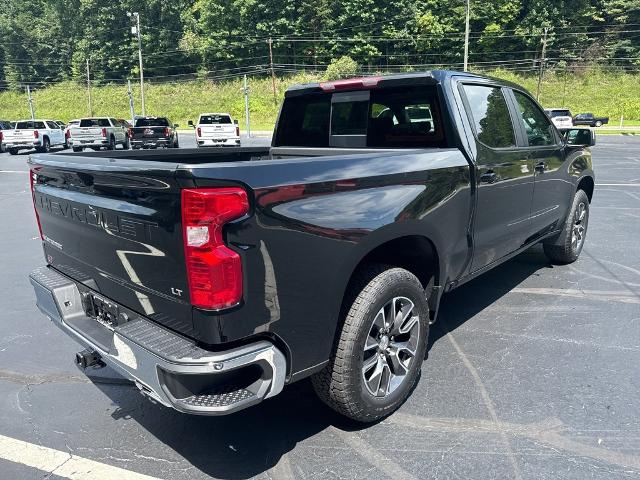 2024 Chevrolet Silverado 1500 Vehicle Photo in MARION, NC 28752-6372